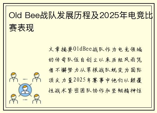 Old Bee战队发展历程及2025年电竞比赛表现